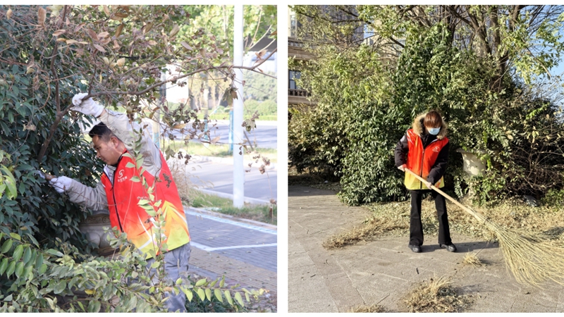 济宁华都党员公益服务队组织开展绿植修剪志愿活动